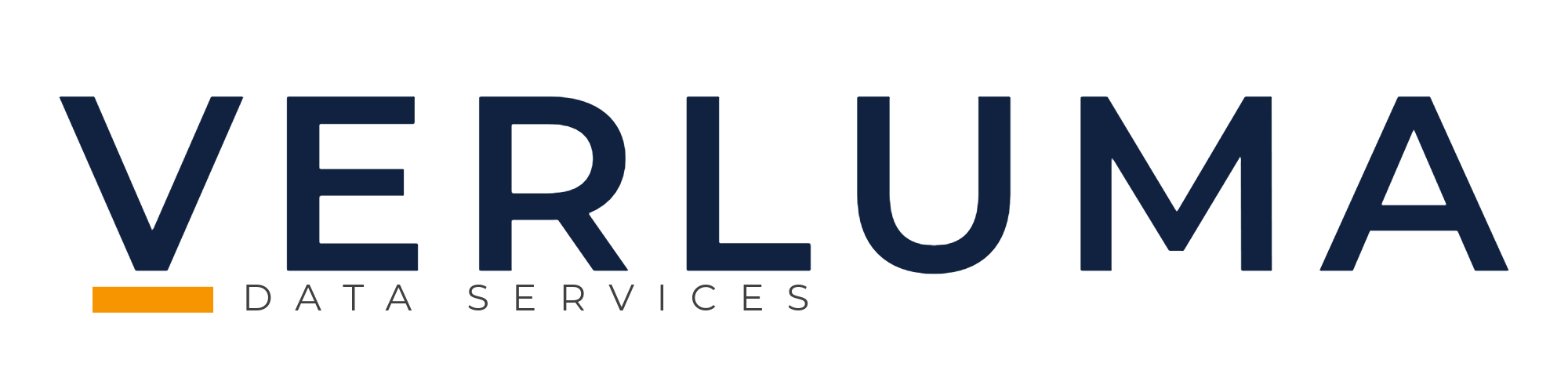 Verluma Data Services logo